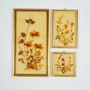 Vintage DINA Pressed Dried Flower Art Set of 3 Gold Frames West Germany Boho